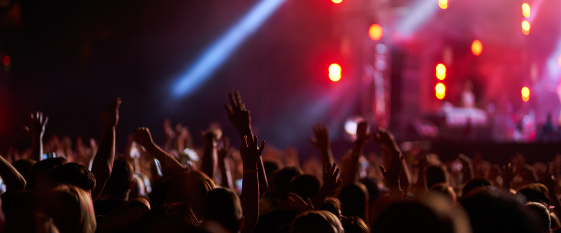 A crowd of people enjoying a live music performance.
