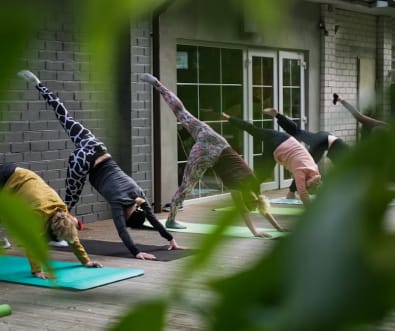 People doing yoga outdoors.