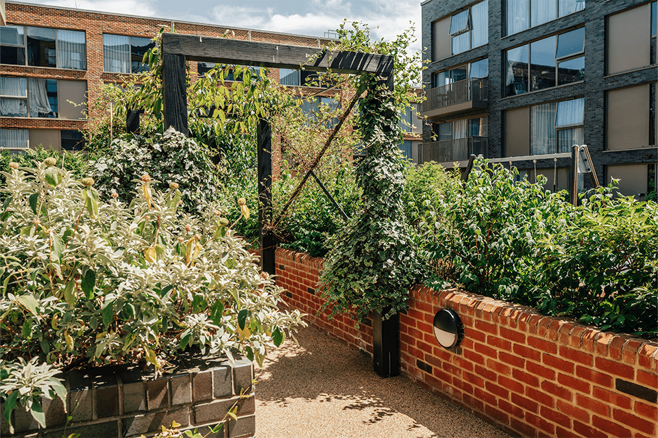 Gardens at Neptune Wharf